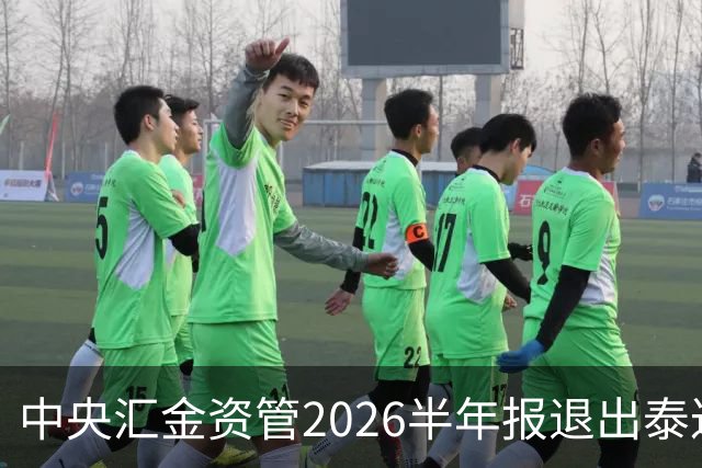 中央汇金资管2026半年报退出泰达股份前十大股东名单