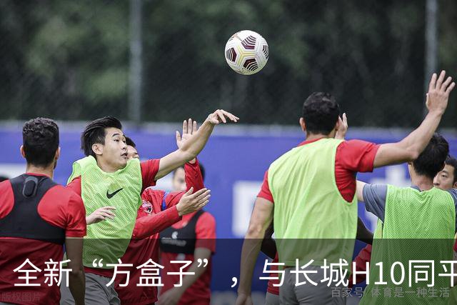 全新“方盒子”，与长城H10同平台，配2.0T+双电机，还有空气悬架