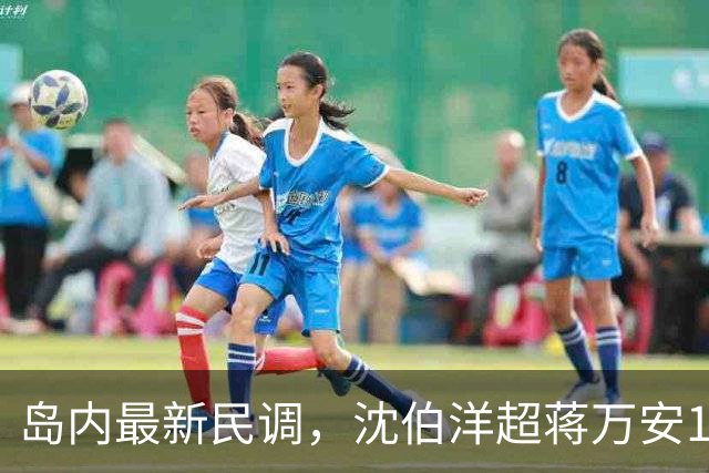 岛内最新民调，沈伯洋超蒋万安17%，外界讽：都是赵少康的'功劳'