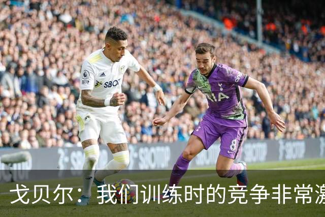 戈贝尔：我们训练时的竞争非常激烈 都希望看到彼此变得更好
