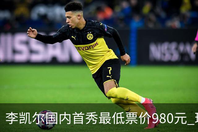 李凯尔国内首秀最低票价980元 球迷直呼太贵了