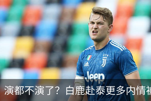 演都不演了？白鹿赴泰更多内情被扒，众星被连带，难怪不取消活动