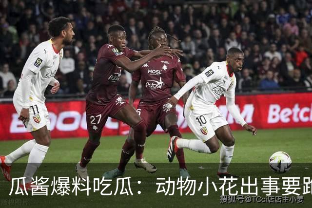 瓜酱爆料吃瓜：动物小花出事要跑路？