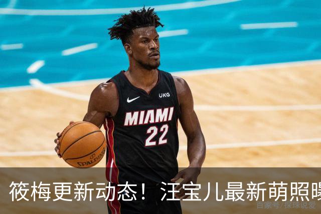 筱梅更新动态！汪宝儿最新萌照曝光，一家三口同框吃饭氛围感拉满