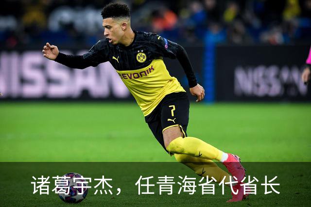 诸葛宇杰，任青海省代省长
