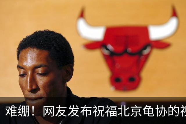 难绷！网友发布祝福北京龟协的视频，评论区涌入大批足球迷