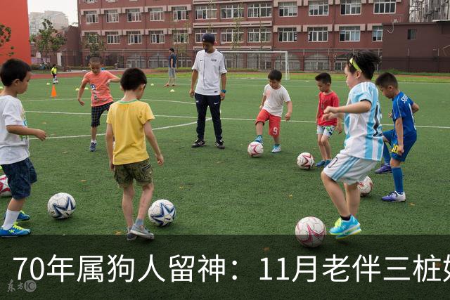 70年属狗人留神：11月老伴三桩好事齐上门，稳住别声张
