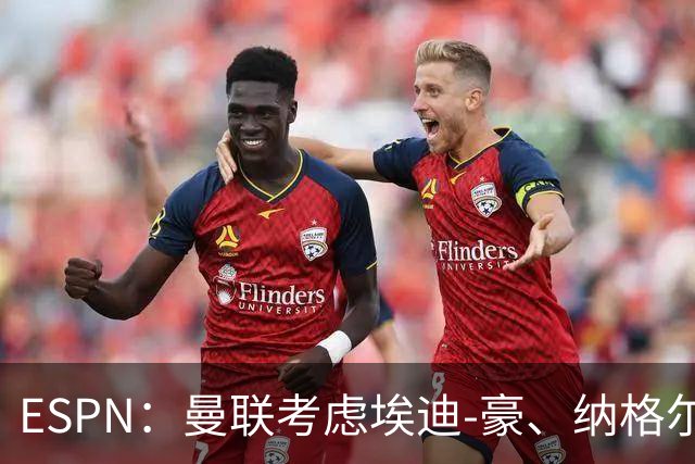 ESPN：曼联考虑埃迪-豪、纳格尔斯曼接替卡里克